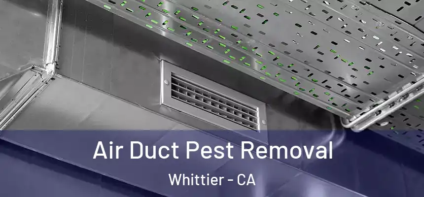Air Duct Pest Removal Whittier - CA