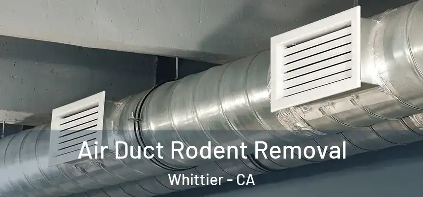 Air Duct Rodent Removal Whittier - CA