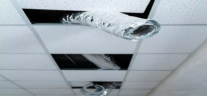 Affordable HVAC Sanitizing After Pest Removal in Whittier