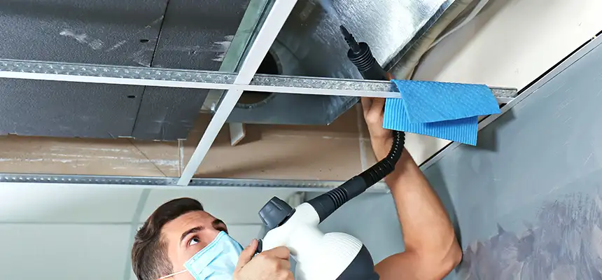 Our Air Duct Rodent Removal Services in Whittier, CA