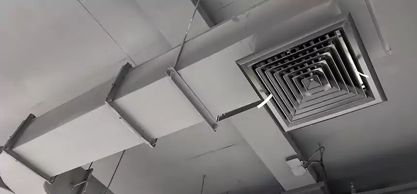 Restorative Allergy Relief Vent Cleaning – Coil, Blower & Housing Detail in Whittier