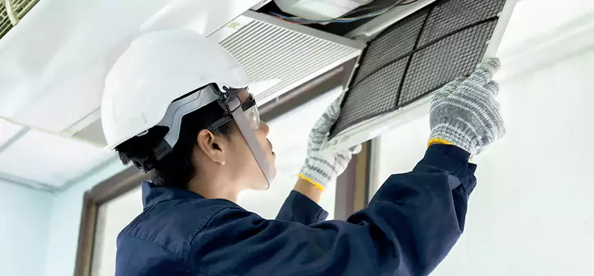 Our Mold & Mildew Removal from Air Ducts Services in Whittier, CA