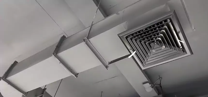 Our Pest Removal From Ducts Services in Whittier, CA