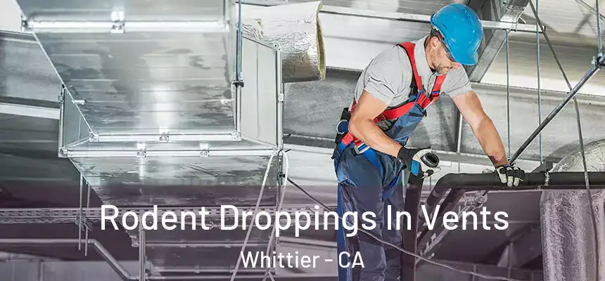  Rodent Droppings In Vents Whittier - CA