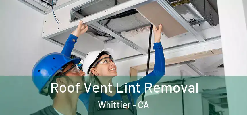  Roof Vent Lint Removal Whittier - CA