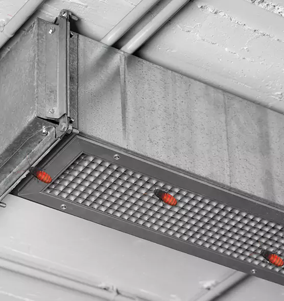 Affordable Insect Removal from Air Ducts in Whittier, CA