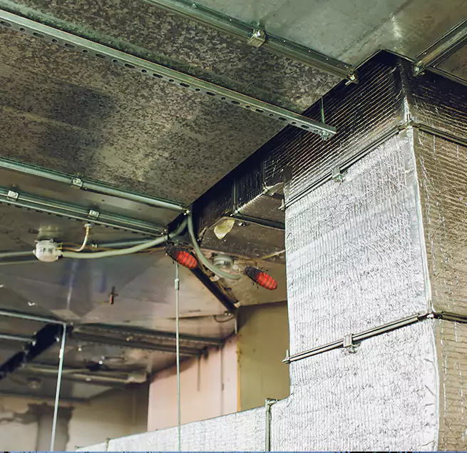 Why Homeowners & Businesses Trust Us in Whittier, CA?