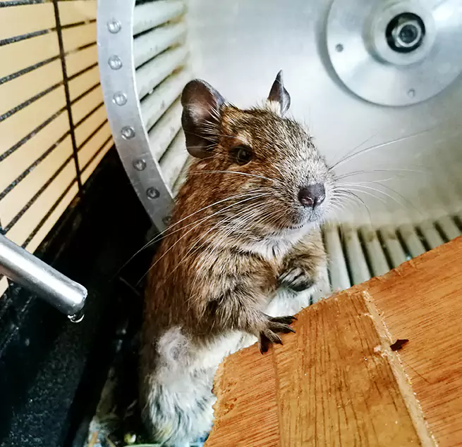 Why Homeowners & Businesses Trust Us Whittier, CA