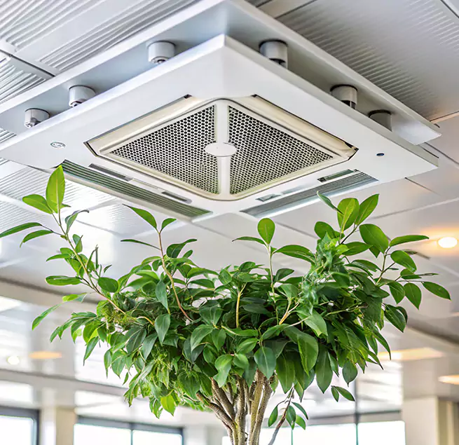 Why Homeowners & Businesses Trust Us in Whittier, CA?